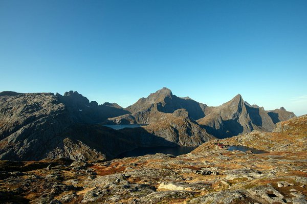 Quels sont les meilleurs spots pour observer les oiseaux dans le delta du Danube en Roumanie?