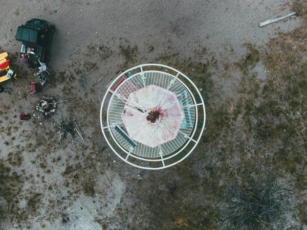 Comment participer à une expédition pour voir les gorilles de montagne en Ouganda?